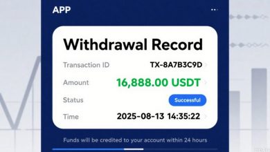 mystbox:-a-new-era-of-daily-crypto-earnings