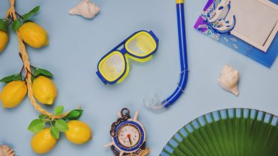 10-essentials-every-swimming-pool-supply-store-should-carry