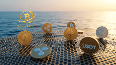 from-volatility-to-victory:-sunny-mining-users-turn-market-swings-into-profit